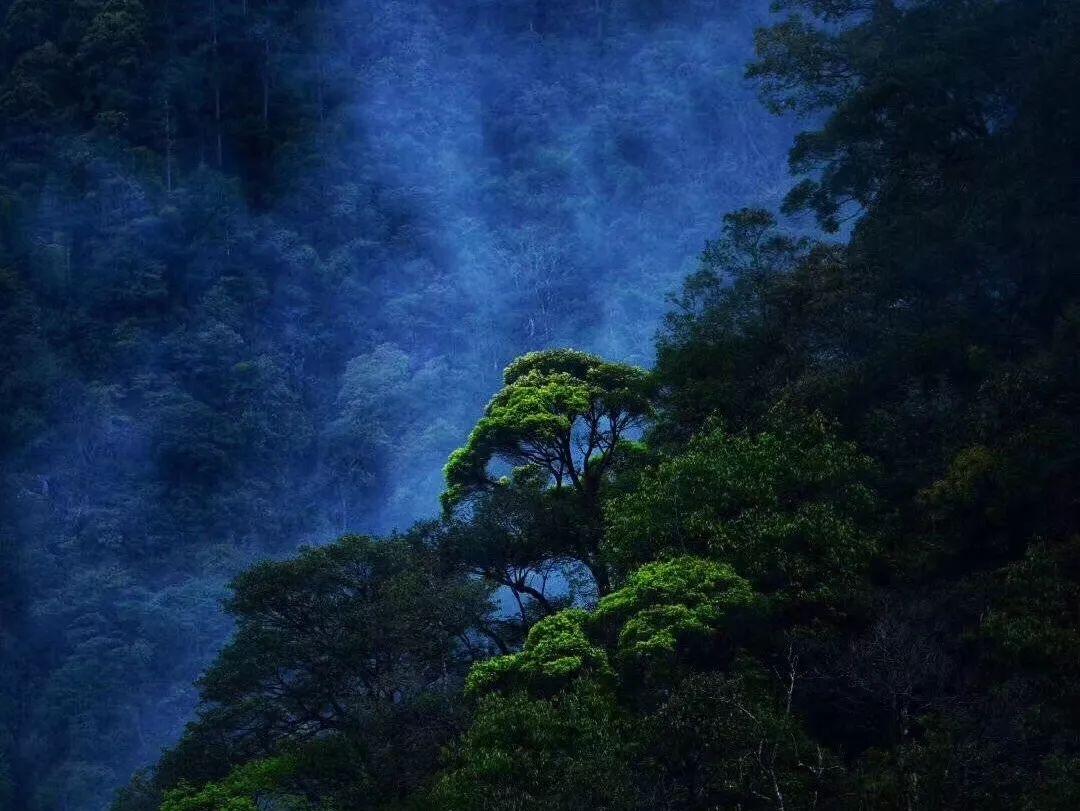 劳资蜀道山是什么意思?-专业知识问答网页